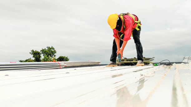 Best Roof Insulation Installation  in Detroit Lakes, MN